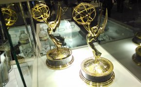 Emmy Awards in a case