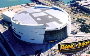 Bang Bros Miami Heat Arena