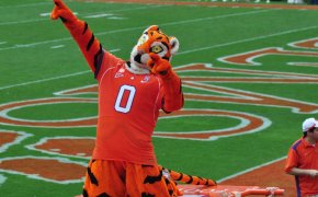 Clemson Tigers football mascot pointing.