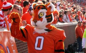 Clemson Tigers mascot on the field