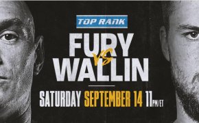 Fury vs Wallin image