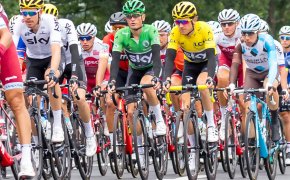 Photo of the peloton at the Tour De France.