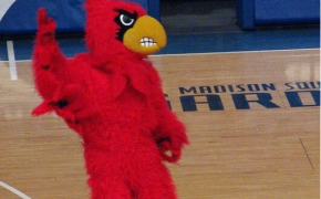 Louisville Cardinals mascot on the court