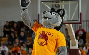 Loyola-Chicago basketball mascot on the court.