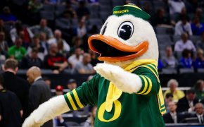 Oregon Ducks mascot on the court