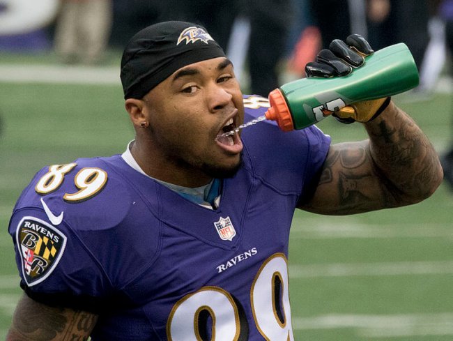 Steve Smith (Baltimore Ravens) - Photo Credit: By Keith Allison from Hanover, MD, USA (Flickr) 