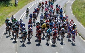 Wide shot of the Tour de France peloton.