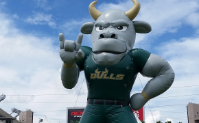 USF Bulls inflatable mascot