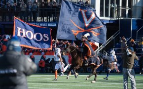 UVA mascot galloping across the field