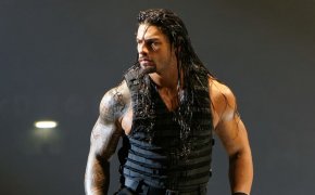 Roman Reigns in the WWE back in 2013