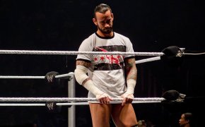 CM Punk in his natural habitat. Does he stand a chance at the UFC?