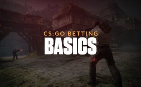 CS:GO betting basics text overlay on CS:GO image