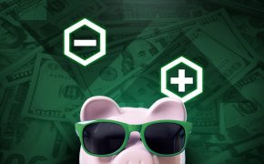 plus minus icons piggie with money in the background