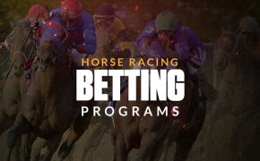 horse racing betting programs text overlay on horse race image
