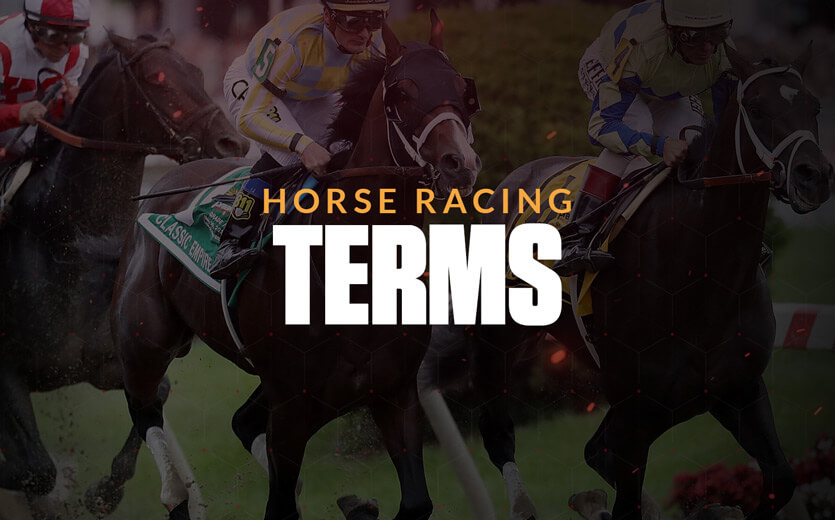 Horse Racing Terminology: An Abridged Dictionary
