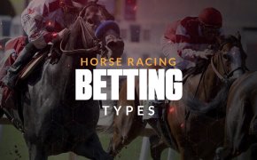 horse racing betting types text overlay on horse racing image