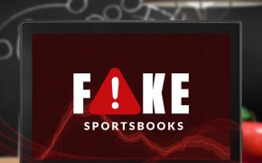 fake sportsbook screen