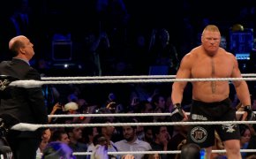 Brock Lesnar - WWE champ
