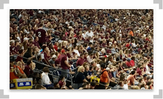 Crowd of people in a stadium