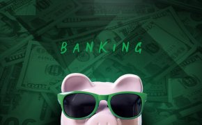 image of a cute pig wearing sunglasses over a background of money with the word 