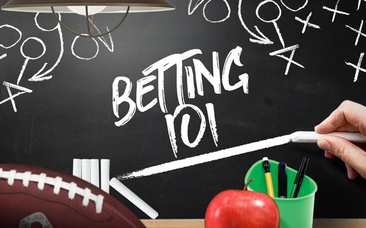 Sports Betting 101 - A Beginner's Guide to Betting Online