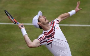 Andy Murray serving during a tennis match on grass.