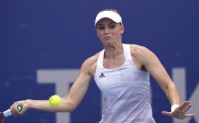 Elena Rybakina vs Elina Svitolina