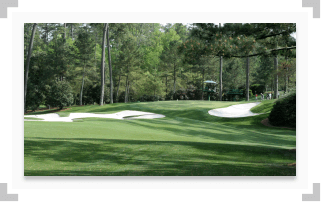 Augusta National golf course with trees and sand bunkers