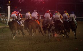 image of race horses in a race
