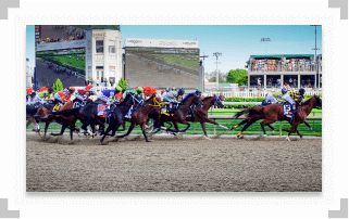 Horses running at the 2014 Kentucky Derby