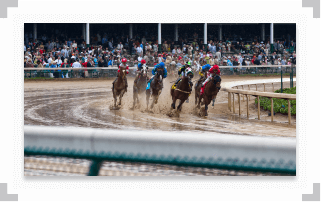 Pack of horses running a race in soggy conditions