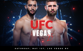 UFC Vegas 25 - Jiri Prochazka vs Dominick Reyes