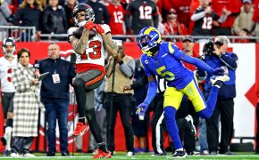 Mike Evans hauls in a TD