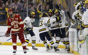 Michigan Wolverines celebrate goal in Frozen Four