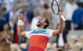 Marin Cilic celebrating with his hands in the air after winning a tennis match.