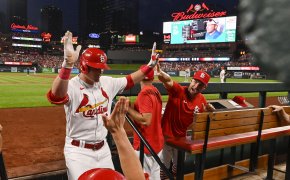 Nolan Gorman celebrates home run, St. Louis Cardinals