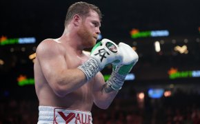 Canelo Alvarez fights in the boxing ring