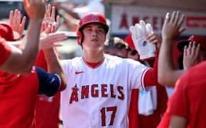 Shohei Ohtani high-fives in the dugout