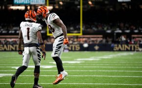 Bengals players celebrate