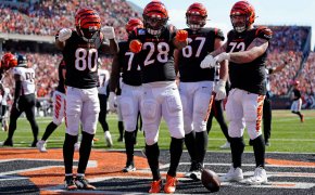 Bengals players celebrate after a TD