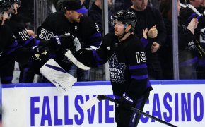 Toronto Maple Leafs forward Calle Jarnkrok celebrates goal