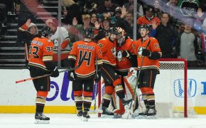 Anaheim Ducks celebrate victory