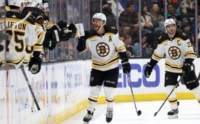 Boston Bruins right wing David Pastrnak celebrates goal