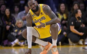 Lakers LeBron James squatting on court.