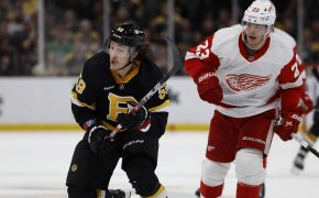 Boston Bruins left wing Tyler Bertuzzi skates against his former team, the Detroit Red Wings
