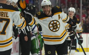 Boston Bruins right wing David Pastrnak celebrates his goal