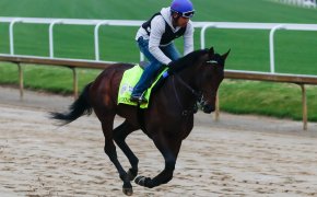 Confidence Game trains at Churchill Downs. Kentucky Derby Underdogs