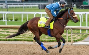 Kentucky Derby contender Skinner does a light work out at Churchill Downs