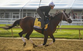 2023 Preakness Stakes horse Black Eyed Susan .