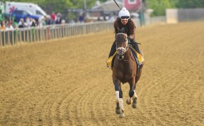2023 Preakness Stakes training.